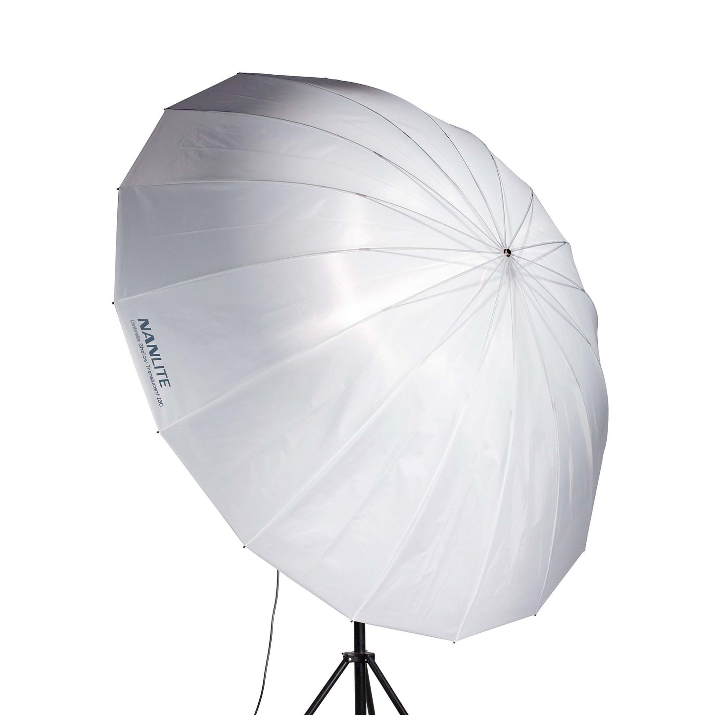 Translucent Shallow Umbrella 180 (71in)