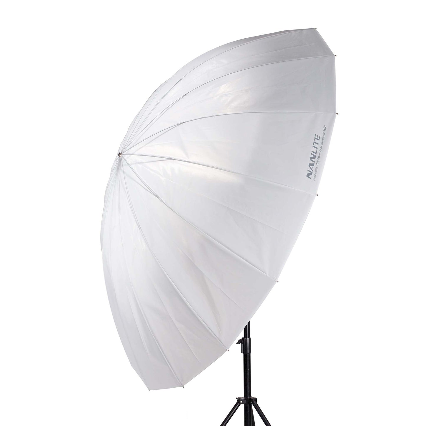 Translucent Shallow Umbrella 180 (71in)