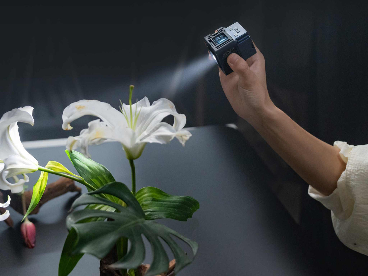 Evoke 5C LED Full-Color Spotlight