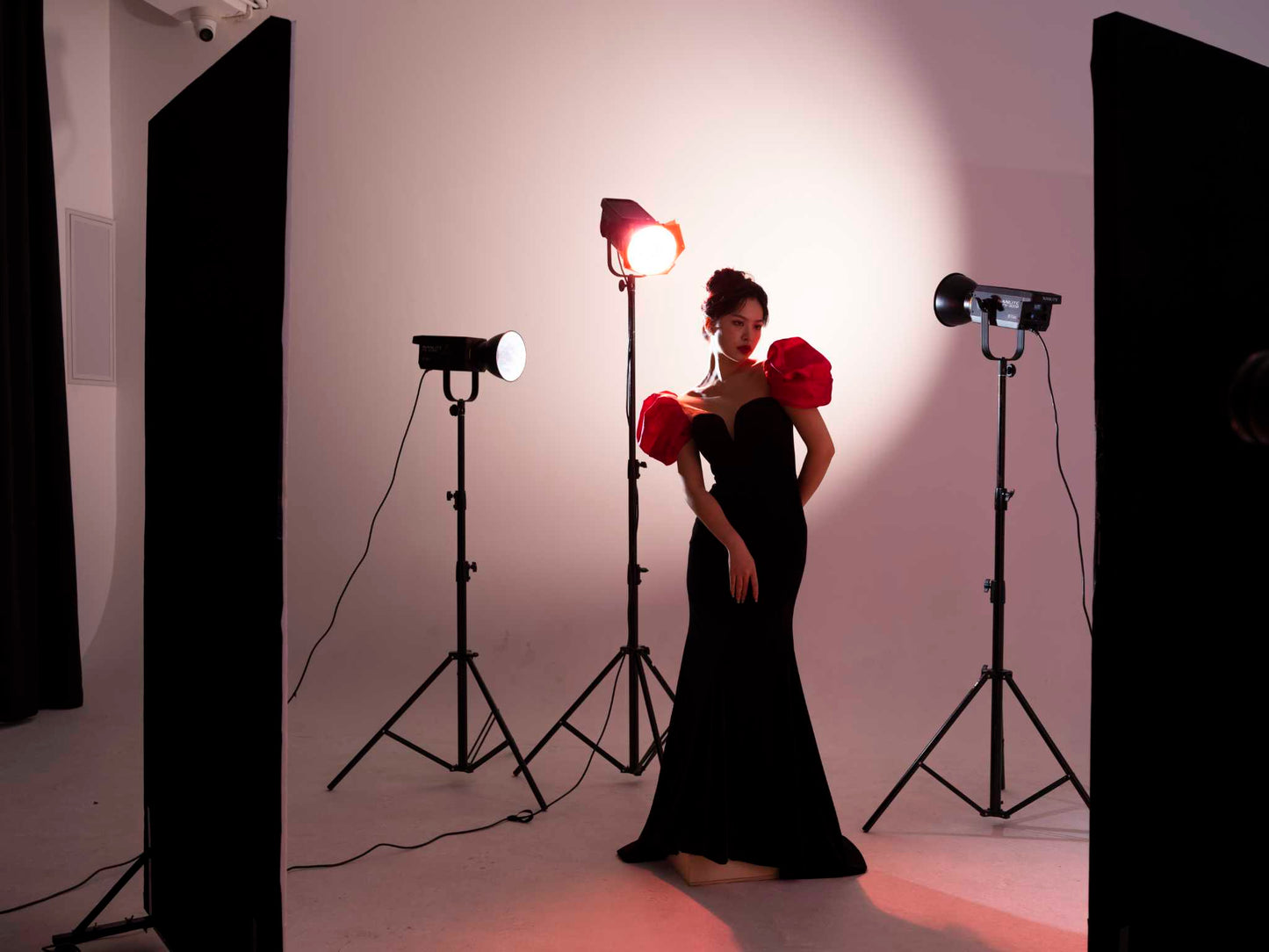 FS-300B AC-Powered Bi-Color LED Monolight