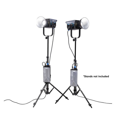 FC-500B Bi-Color LED Spotlight 2-Light Kit with Softboxes and Rolling Case