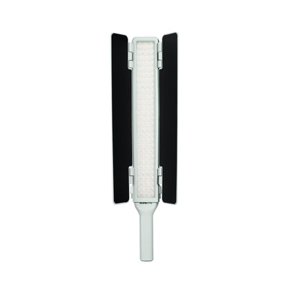 Full-Color Wand LED Light